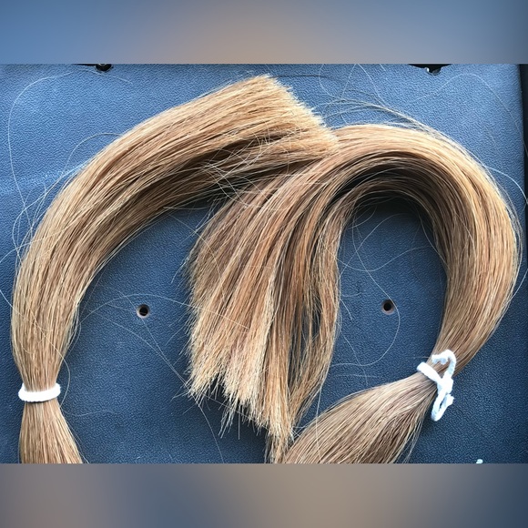 Horse Show Tails - Picture 4 of 7